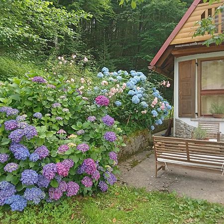 Holiday Home Vesna Brod na Kupi Dış mekan fotoğraf