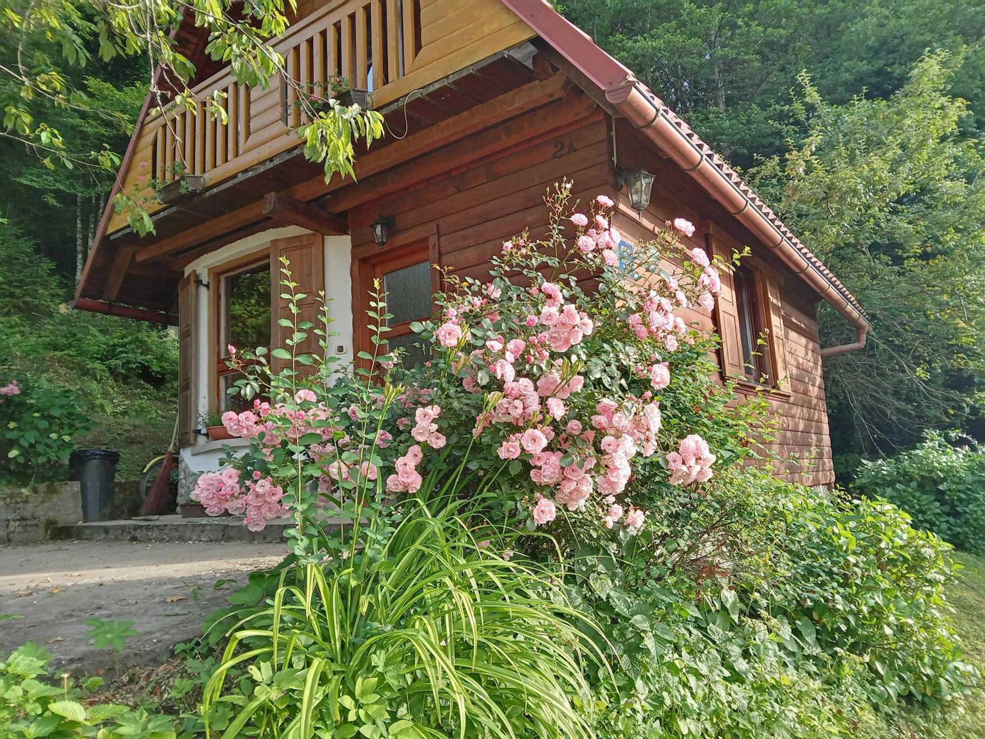 Holiday Home Vesna Brod na Kupi Dış mekan fotoğraf