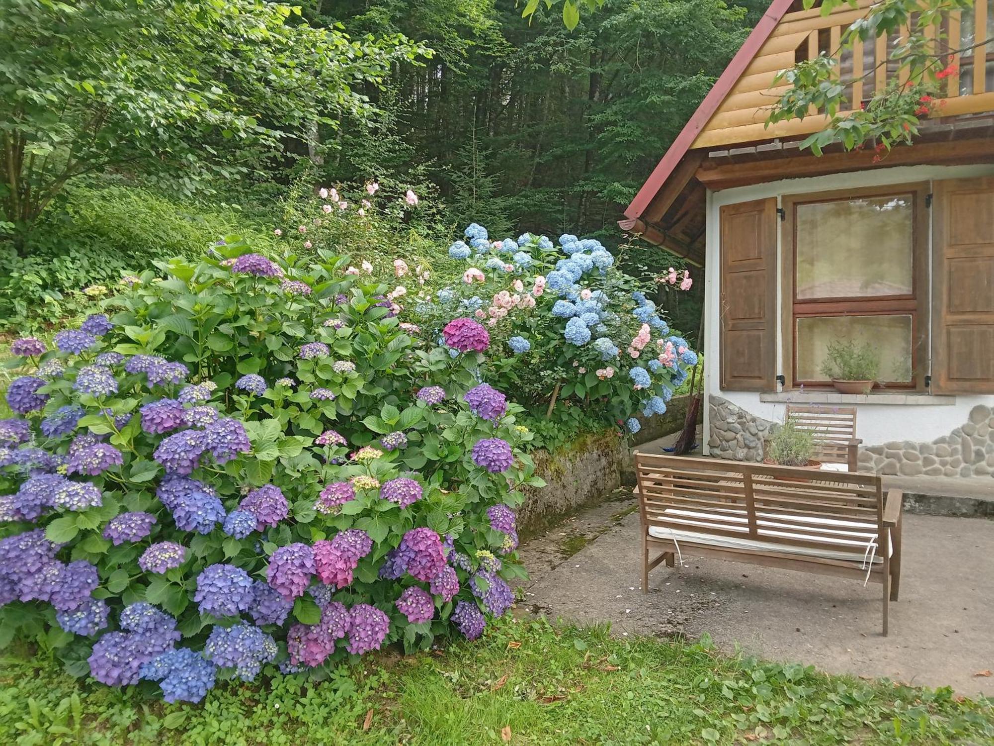 Holiday Home Vesna Brod na Kupi Dış mekan fotoğraf