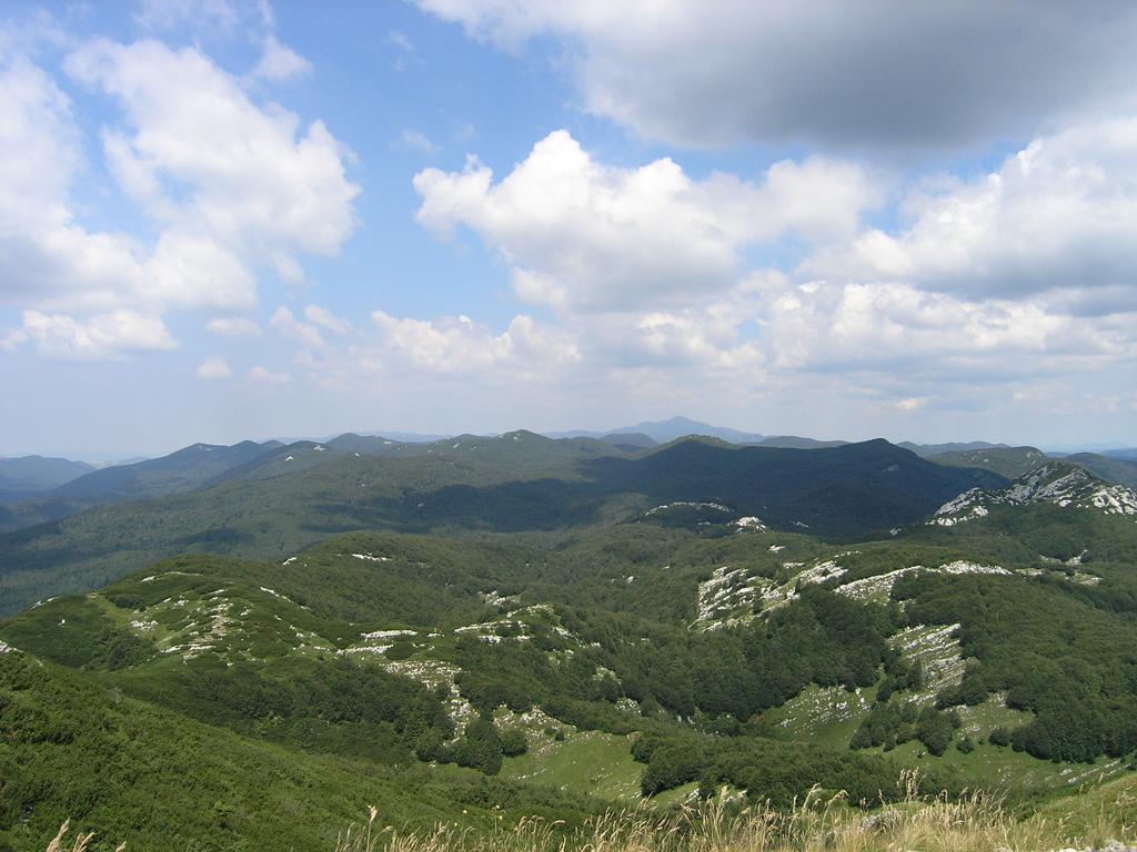 Holiday Home Vesna Brod na Kupi Dış mekan fotoğraf