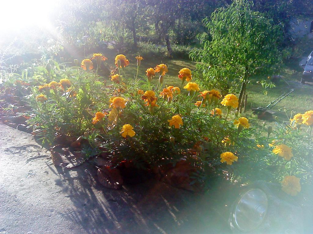 Holiday Home Vesna Brod na Kupi Oda fotoğraf